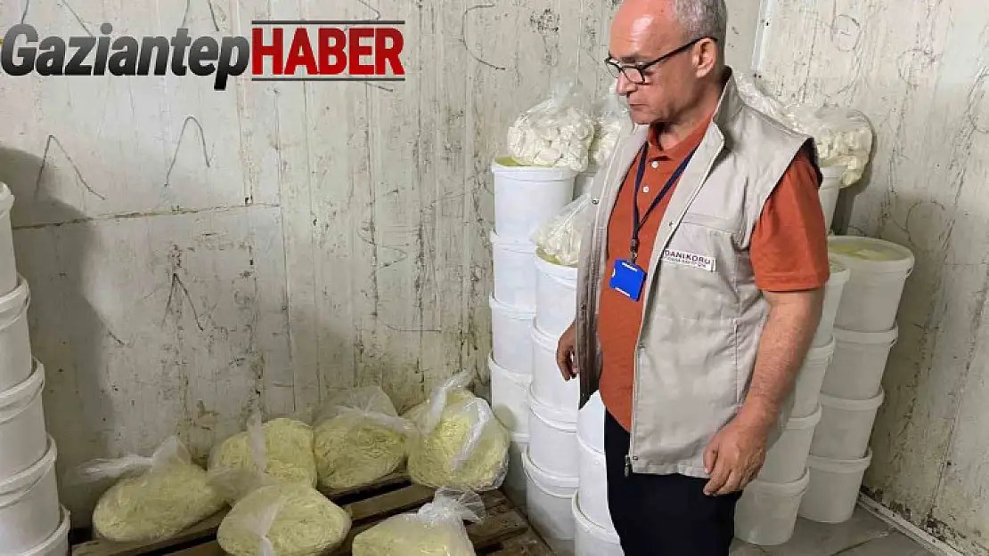 Gaziantep'te 1 ton 112 kilogram kaçak peynir ele geçirildi