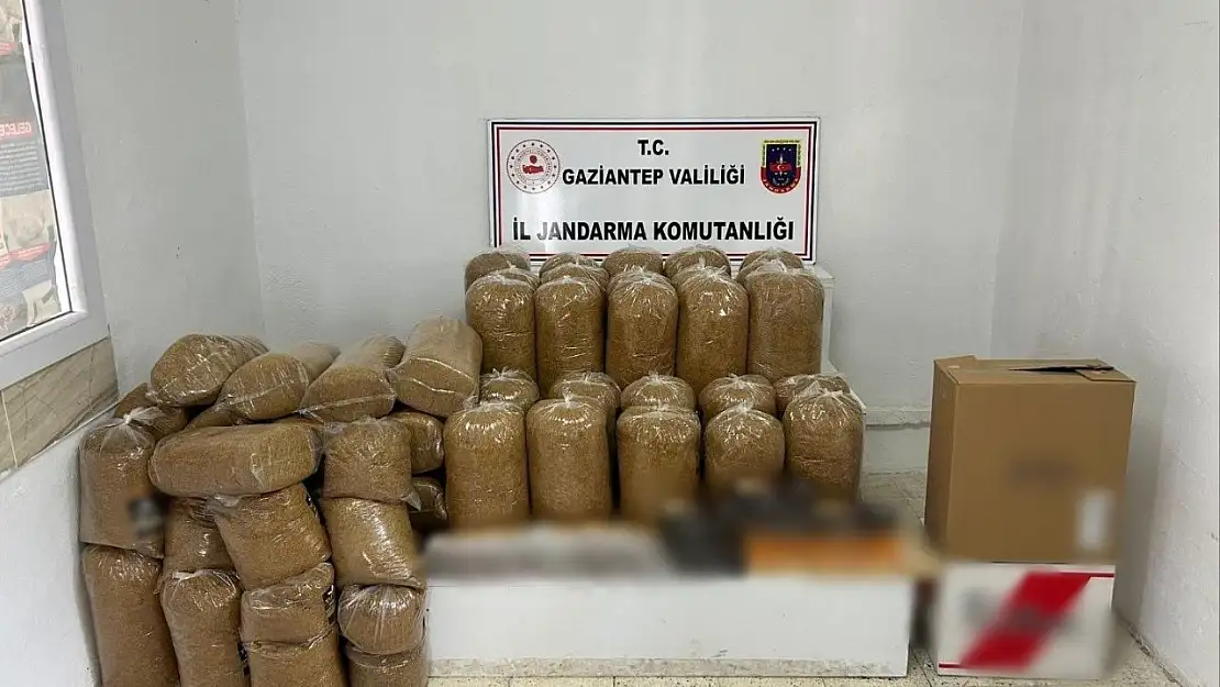 Gaziantep'te 1 ton 700 kilo kaçak tütün ele geçirildi: 5 gözaltı