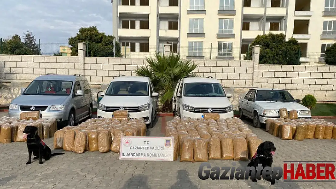 Gaziantep'te 1 ton 900 kilo kaçak tütün ele geçirildi