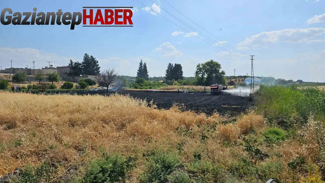 Gaziantep'te 10 dönüm buğday tarlası küle döndü