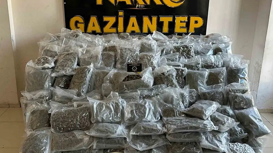 Gaziantep'te 104 kilo skunk ele geçirildi