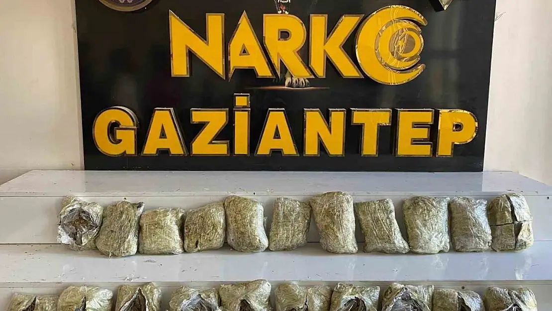 Gaziantep'te 123 kilo skunk ve metamfetamin ele geçirildi: 4 tutuklama