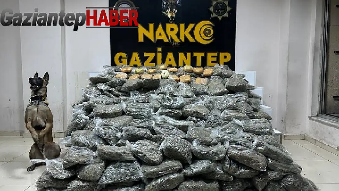 Gaziantep'te 170 kilogram skunk ele geçirildi