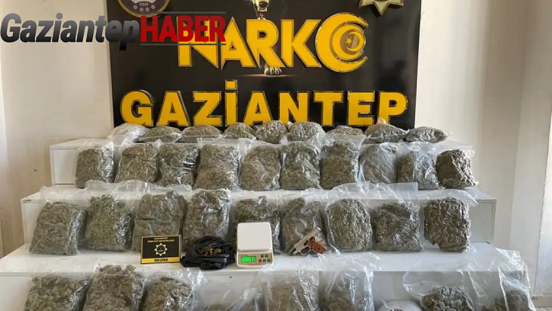 Gaziantep'te 18 kilo skunk ele geçirildi: 1 gözaltı