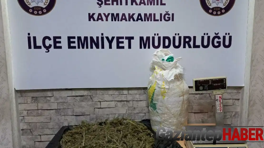 Gaziantep'te 2 kilo 480 gram esrar yakalandı