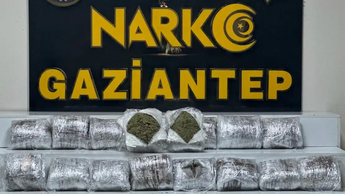 Gaziantep'te 24 kilo skunk ele geçirildi
