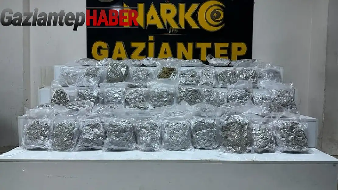 Gaziantep'te 24 kilo skunk ele geçirildi