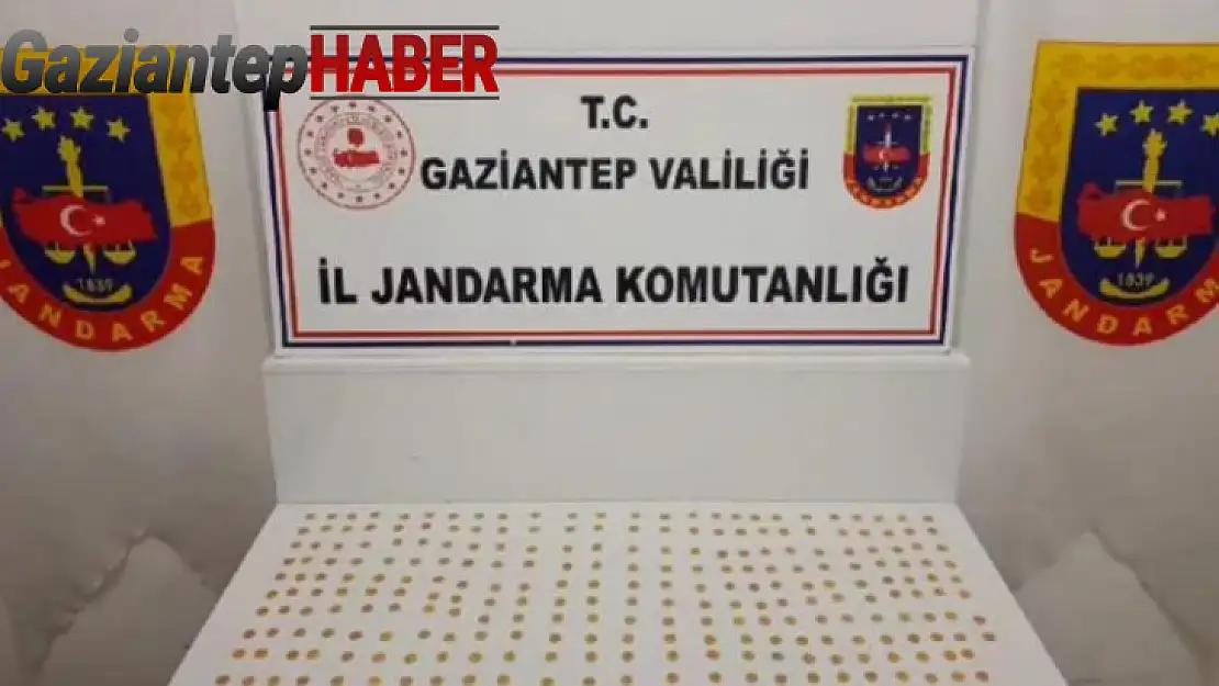 Gaziantep'te 245 adet sikke ele geçirildi