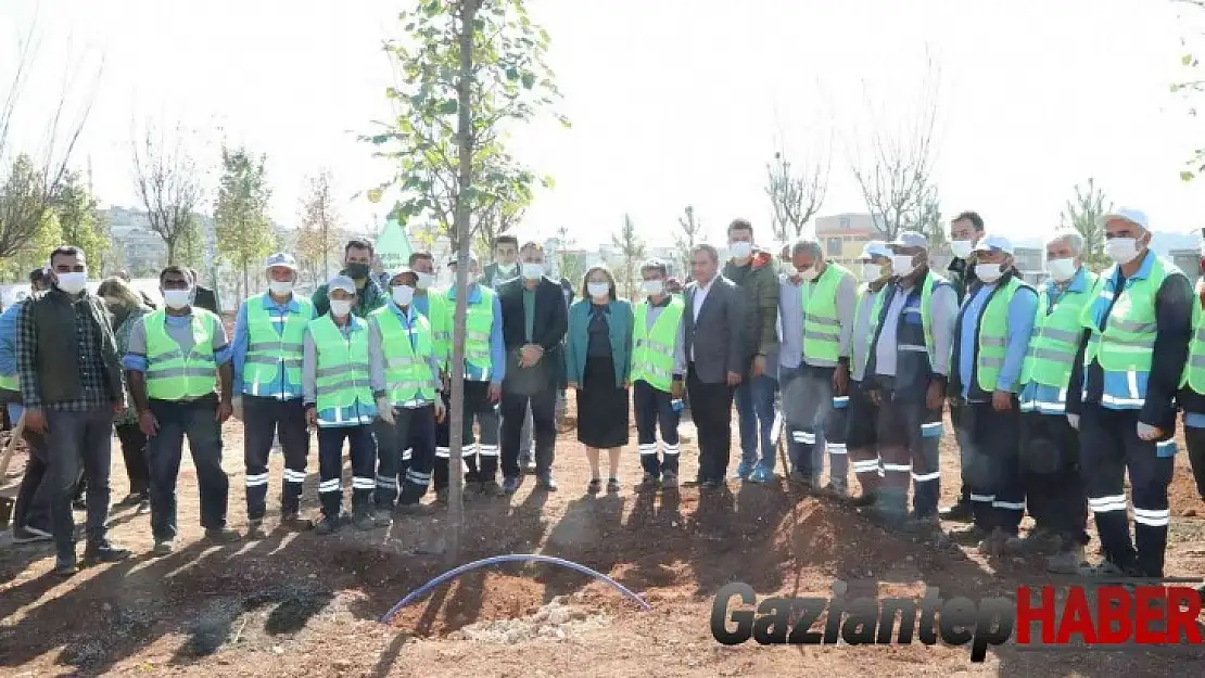 Gaziantep'te 27 milyon fidan hedefi için ağaç dikim başladı