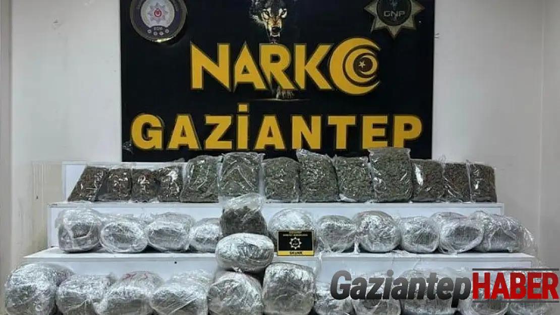 Gaziantep'te 28 kilo 400 gram skunk ele geçirildi