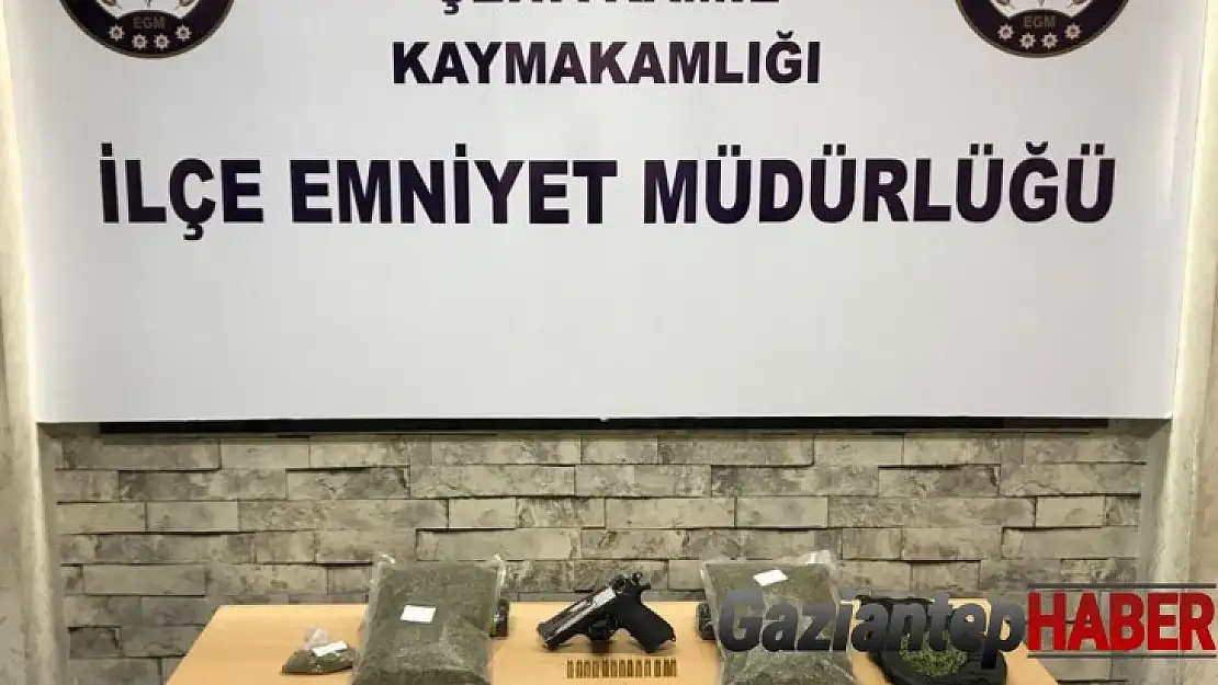 Gaziantep'te 3 kilo bonzai ele geçirildi