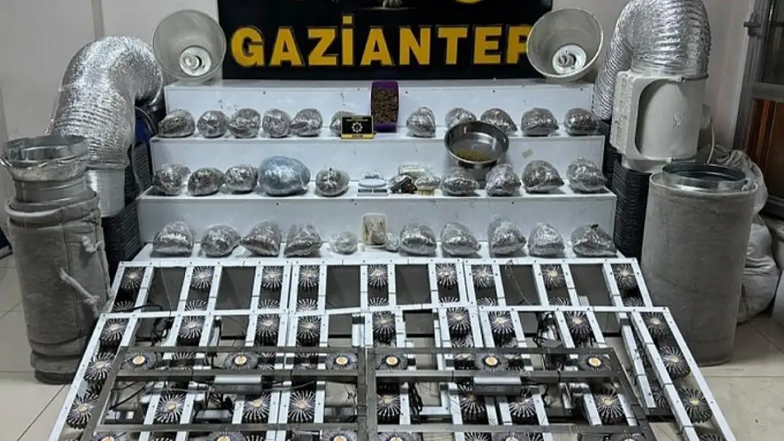 Gaziantep'te 32 kilo skunk ele geçirildi