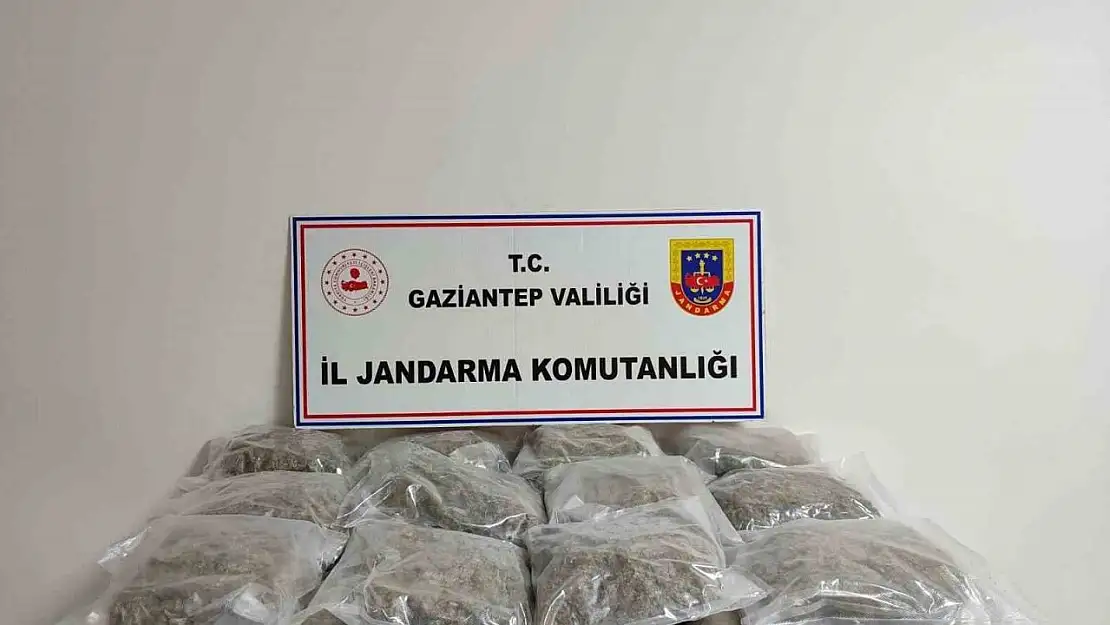 Gaziantep'te 32 kilogram skunk ele geçirildi