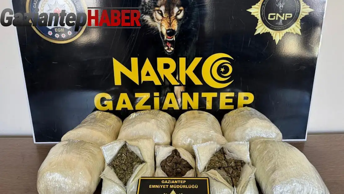 Gaziantep'te 5 kilo skunk ele geçirildi