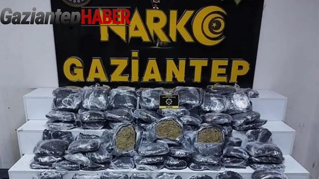 Gaziantep'te 51 kilo skunk ele geçirildi