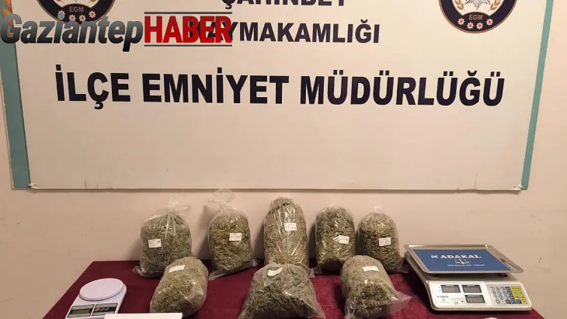 Gaziantep'te 7 kilo esrar ele geçirildi: 3 gözaltı