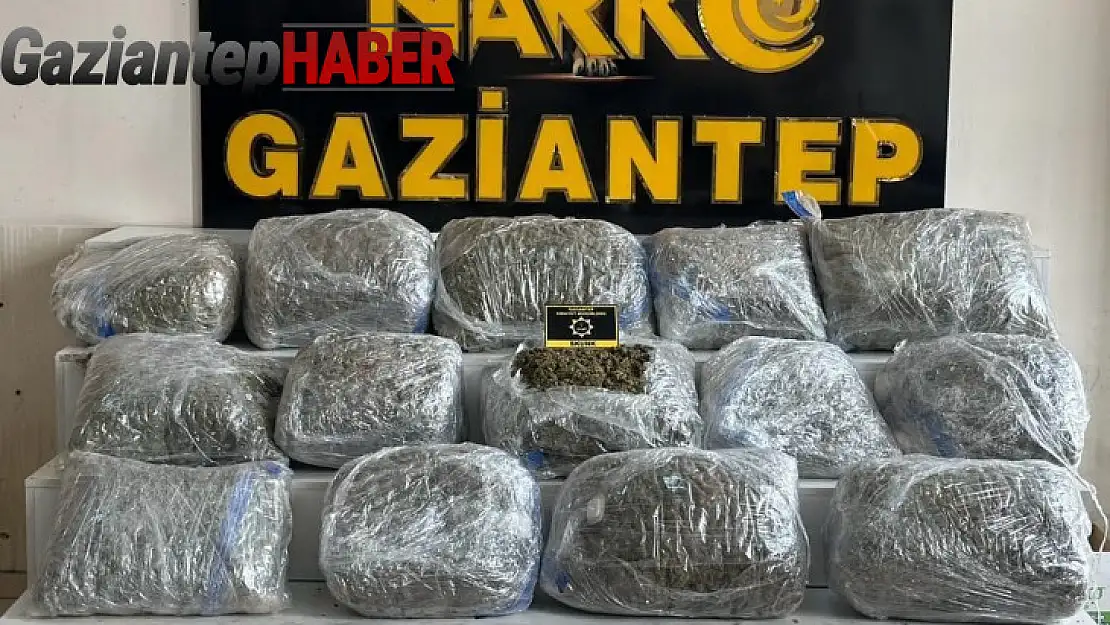 Gaziantep'te 78 kilogram skunk ele geçirildi: 1 şahıs tutuklandı