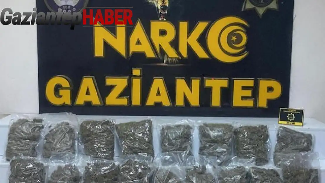 Gaziantep'te 8 kilo 550 gram skunk ele geçirildi: 2 gözaltı