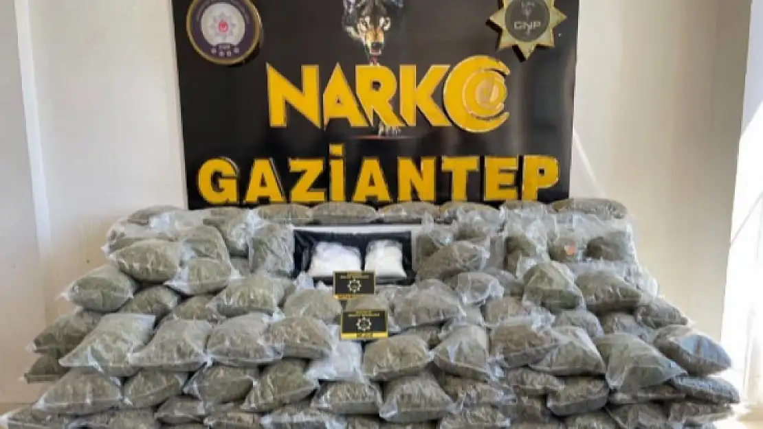 Gaziantep'te 80 kilo skunk ele geçirildi