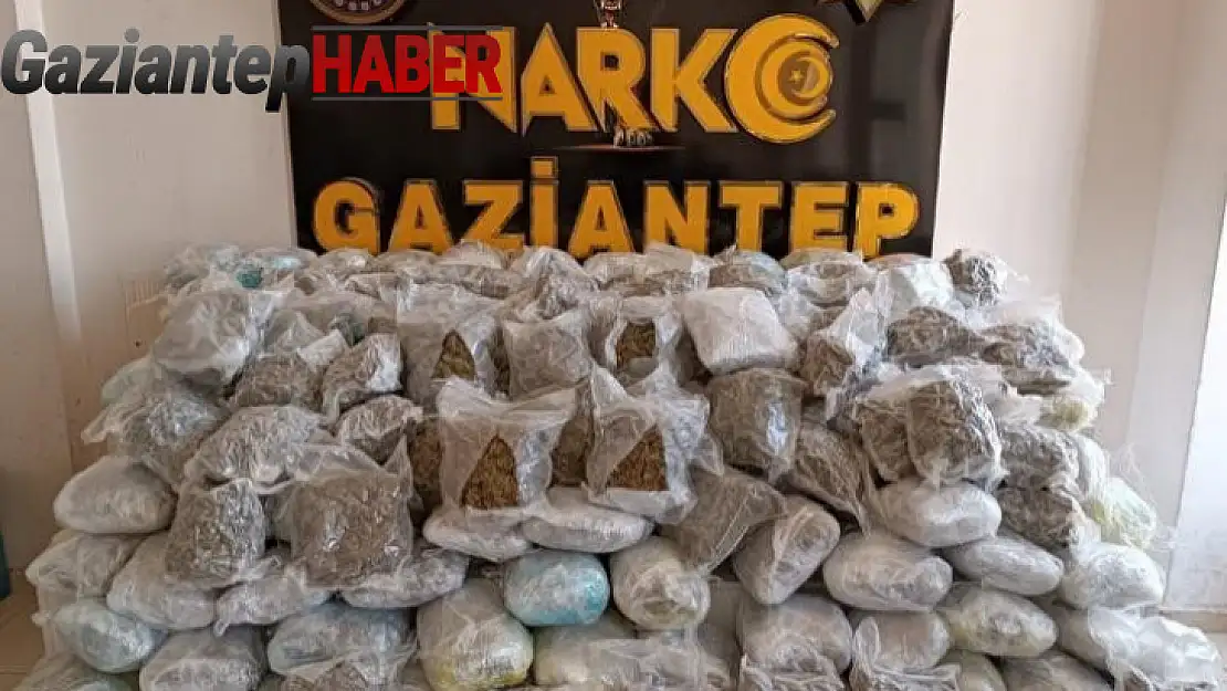 Gaziantep'te 81 kilo shunk ele geçirildi