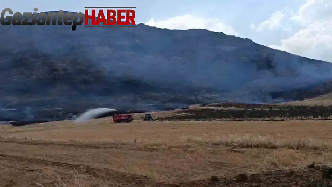 Gaziantep'te anız yangını ormanlık alana zarar verdi