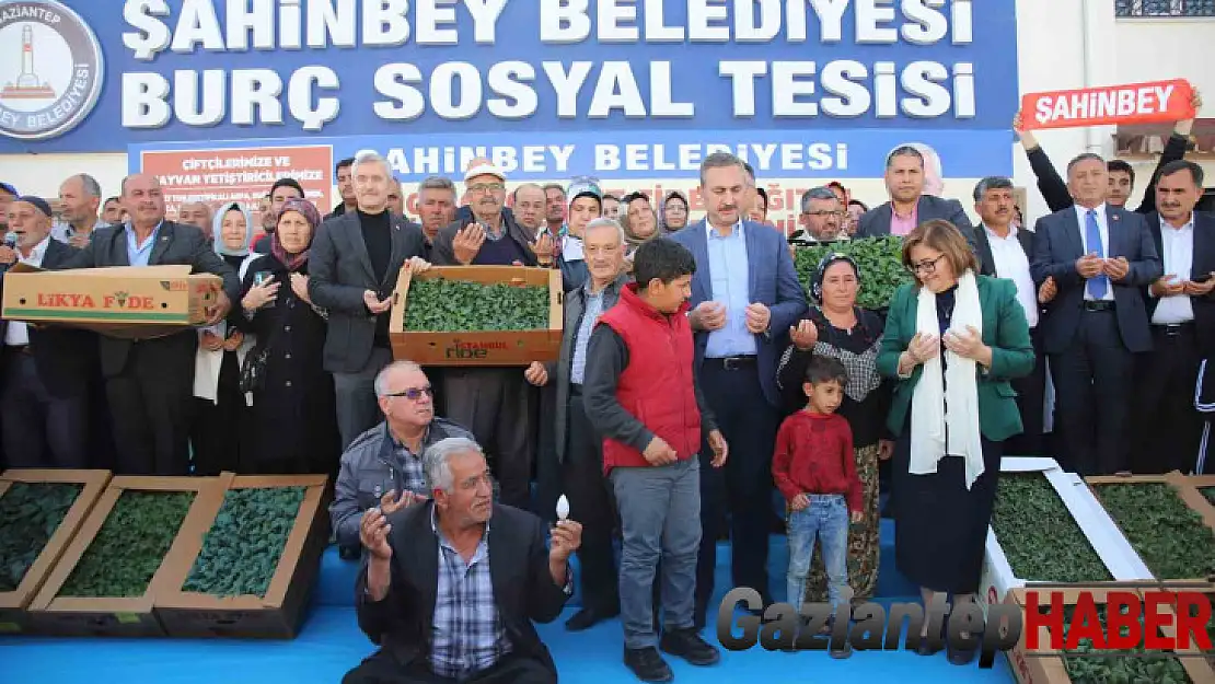 Gaziantep'te çiftçiye 11 milyon 500 bin adet fide dağıtıldı