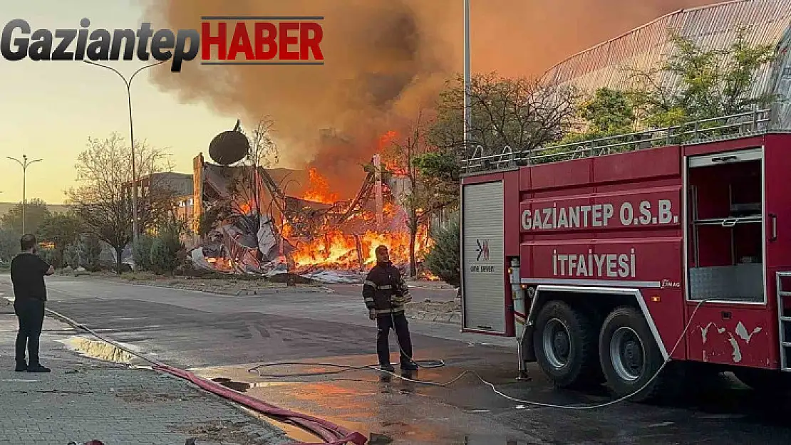 Gaziantep'te halı fabrikasında yangın