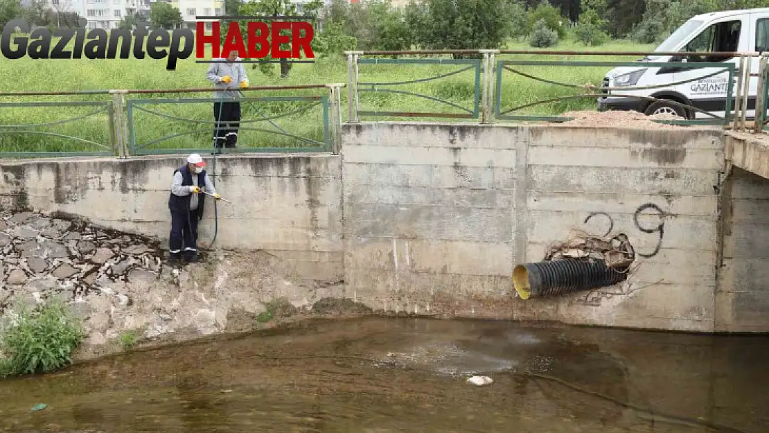 Gaziantep'te haşerelere karşı 165 bin noktada ilaçlama yapılıyor