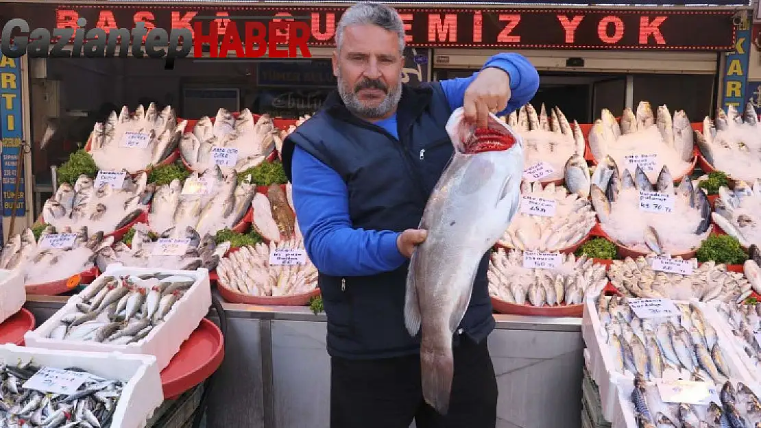 Gaziantep'te havaların serinlemesiyle balık satışları arttı