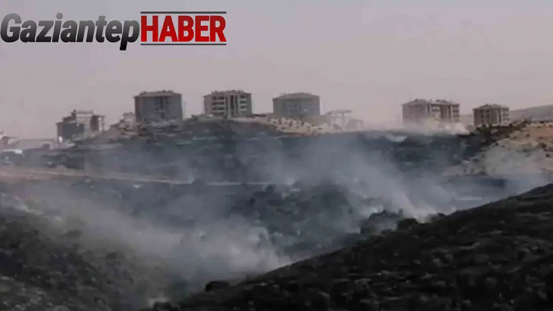 Gaziantep'te korkutan orman yangını