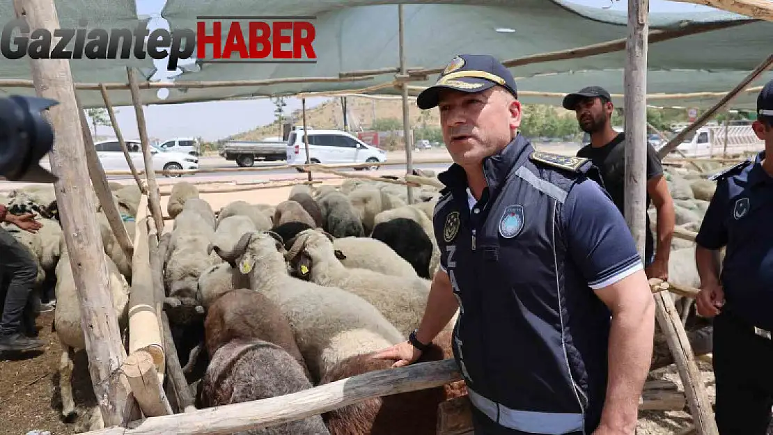 Gaziantep'te Kurban Bayramı öncesi sıkı denetimler sürüyor