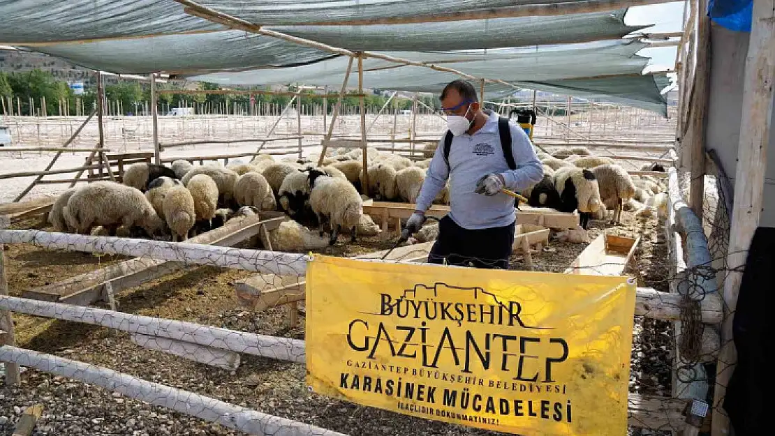 Gaziantep'te kurban bayramı tedbirleri aralıksız devam ediyor