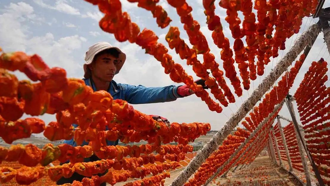 Gaziantep'te kurutmalık sezonu başladı