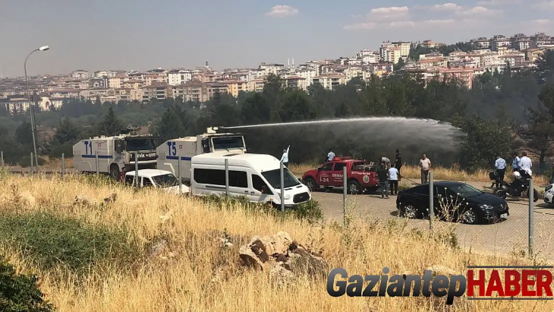 Gaziantep'te orman yangını