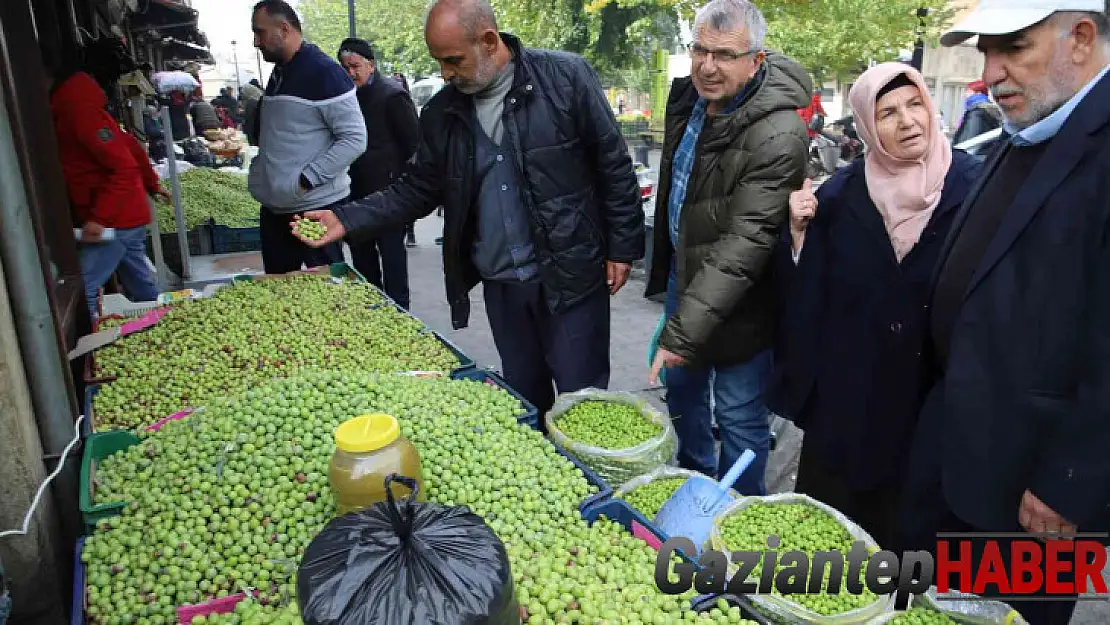 Gaziantep'te yeşil zeytin tezgaha indi