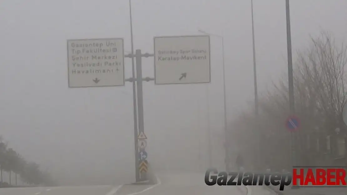 Gaziantep'te yoğun sis