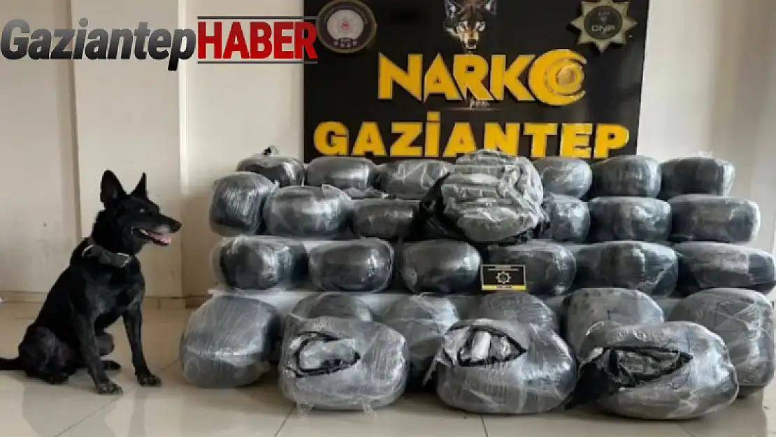 Gaziantep'te zehir tacirlerine büyük darbe