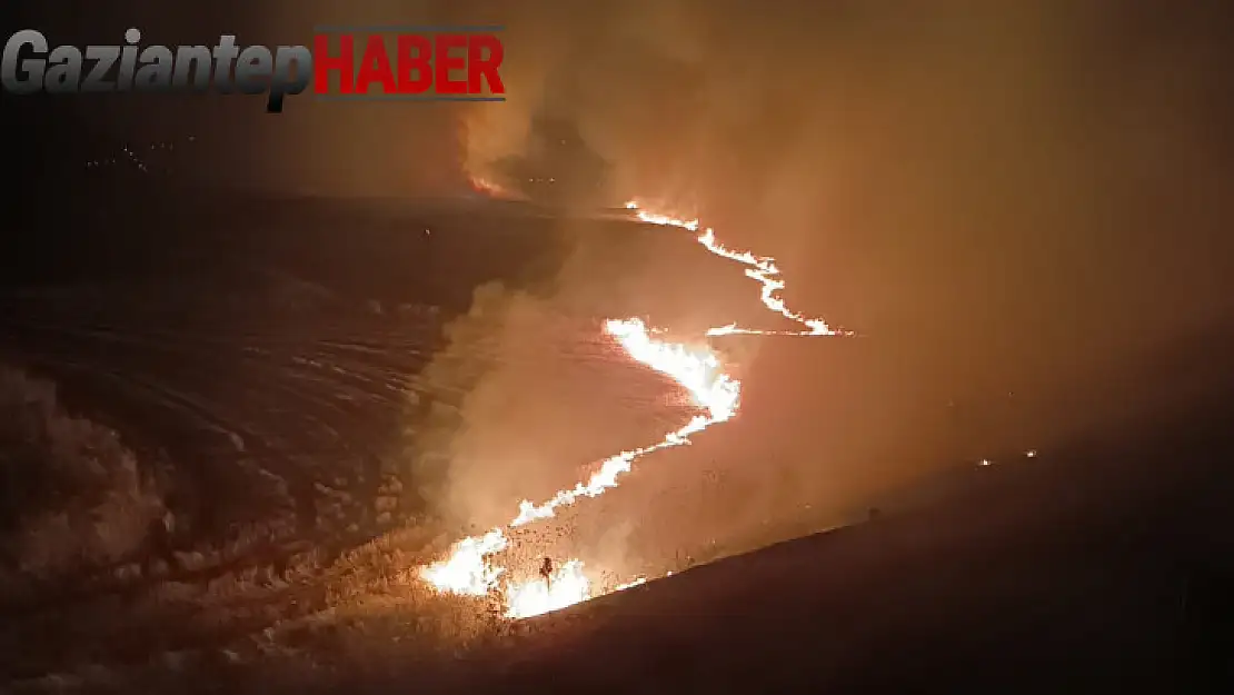 Gaziantep'teki mera ve anız yangınına müdahale sürüyor