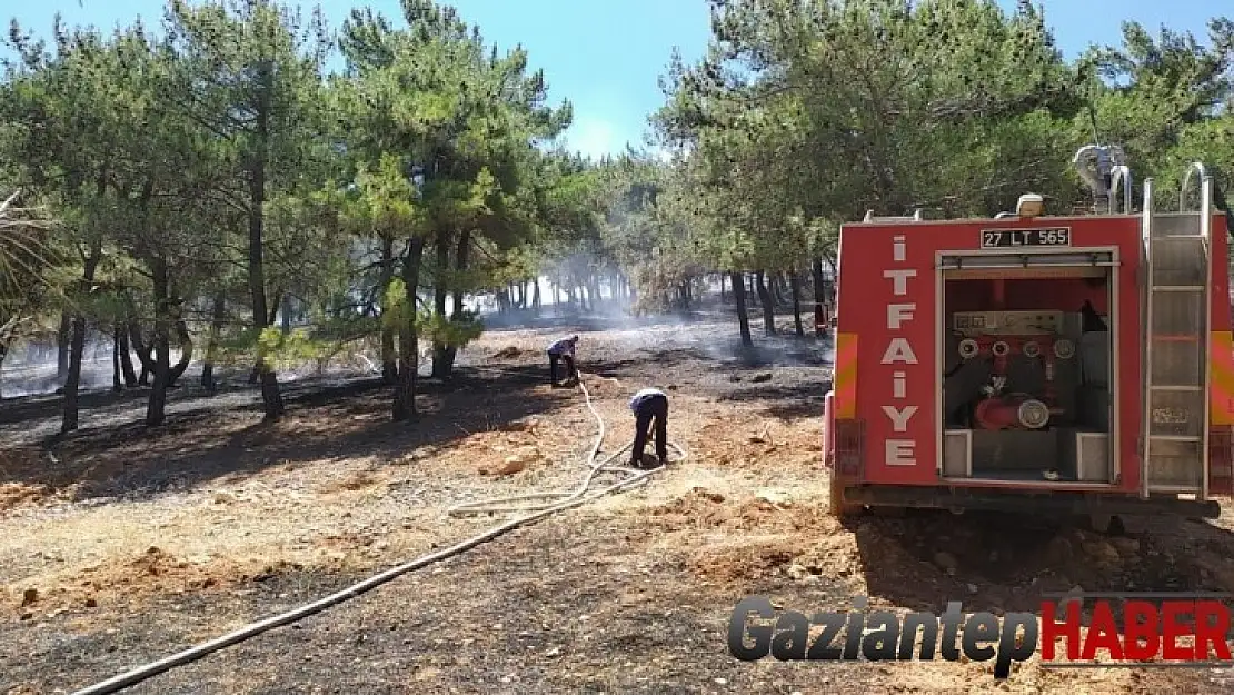 Gaziantep'teki orman yangını söndürüldü