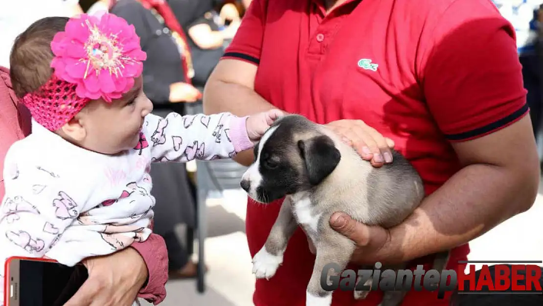 Gaziantep uygulaması ile puanını tamamlayanlara mama verildi