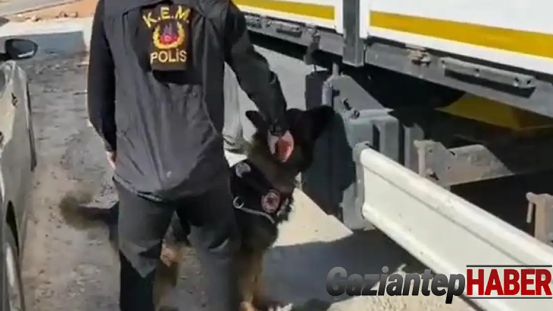 Gübre çuvallarının arasında 'kaçak sigara' sevkiyatına polis darbesi
