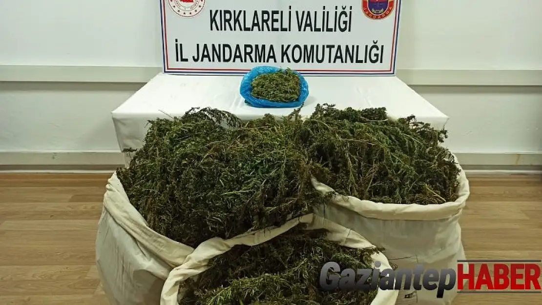 Güpegündüz motosikletle 36 kilogram esrar taşırken yakalandı