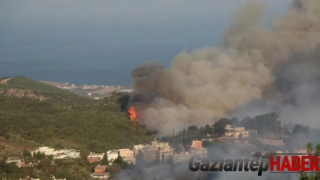 Hatay'da orman yangınlarına havadan ve karadan müdahale sürüyor