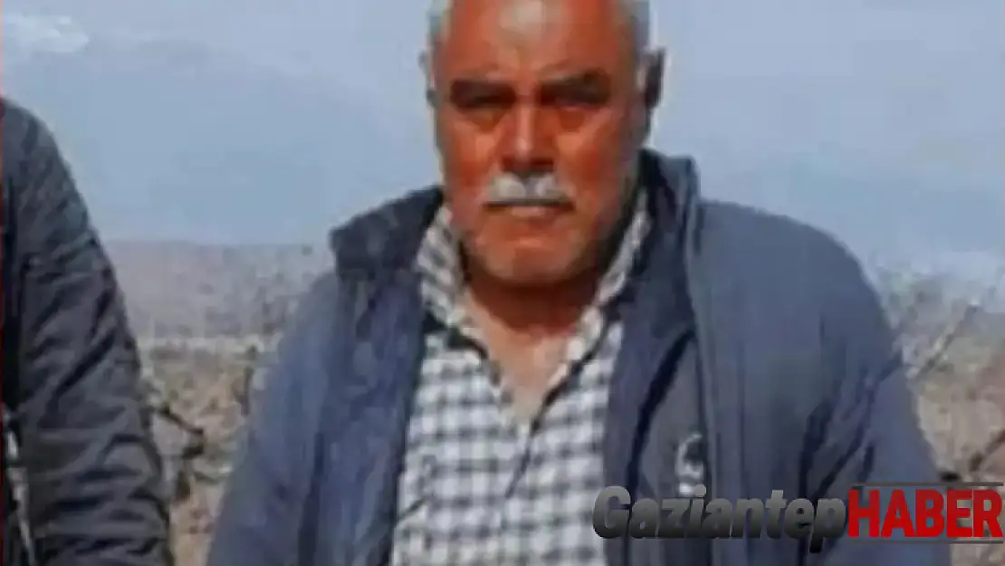 Hayvanlarını otlatmaya giden şahıs ölü bulundu