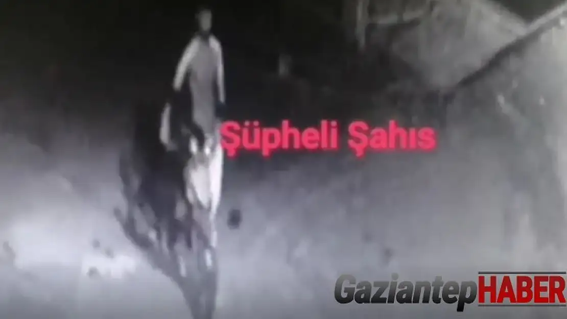 Hırsızlık şüphelileri yakalandı