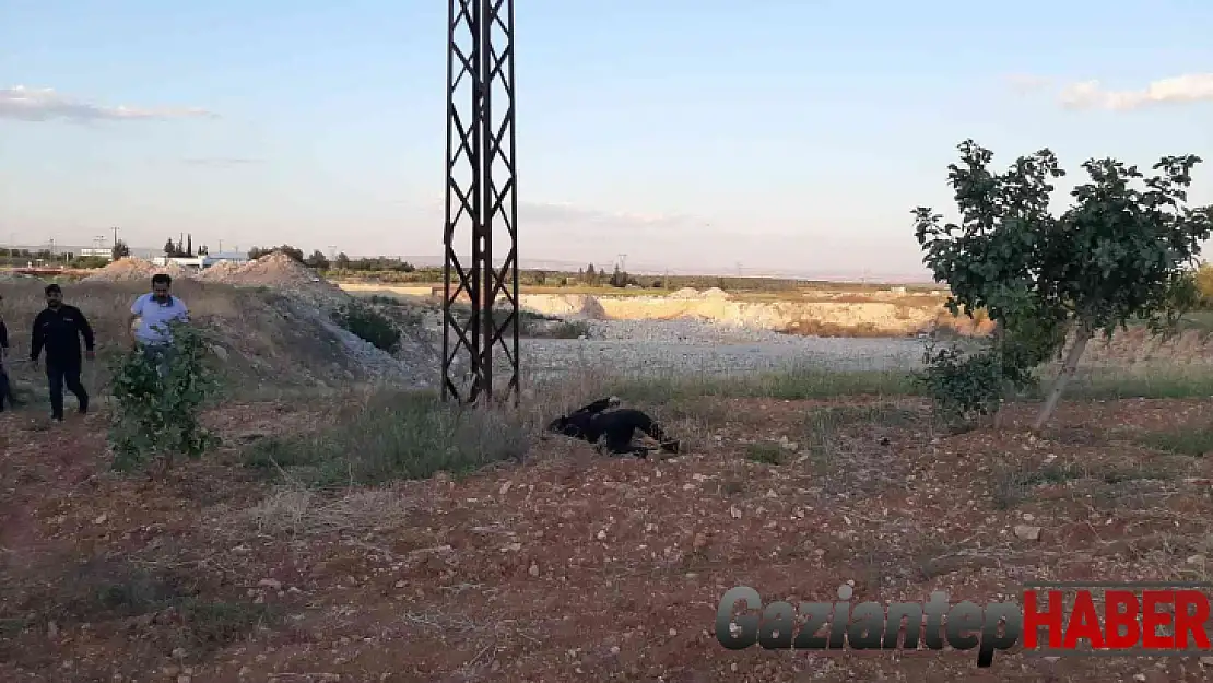 Hırsızlık zanlısının feci sonu