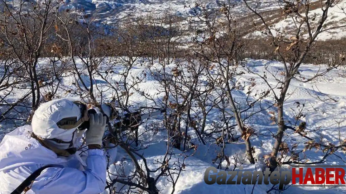İçişleri Bakanlığınca 'Eren Kış-16 Bingöl-Sağgöze Şehit Jandarma Binbaşı Adil Karagöz Operasyonu' başlatıldı