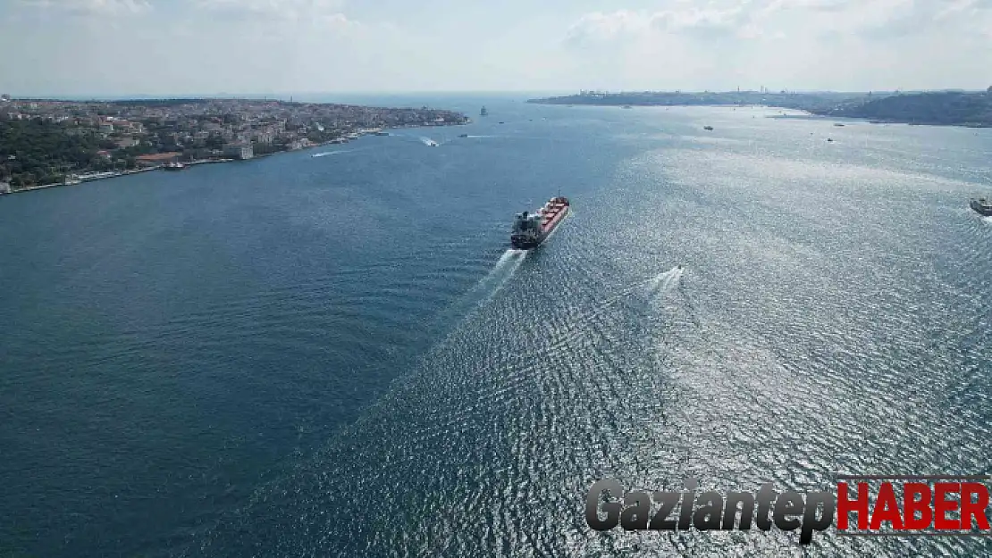 İlk tahıl gemisi 'Razoni' İstanbul Boğazı'ndan geçti