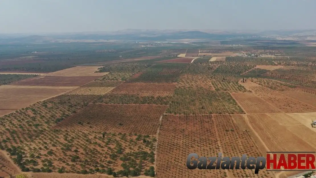 İpekyolu Kalkınma Ajansı, Barak Ovası'na hayat verecek