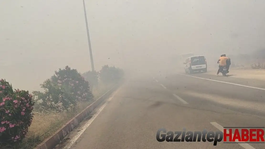 Anız yangını trafiği durdurdu